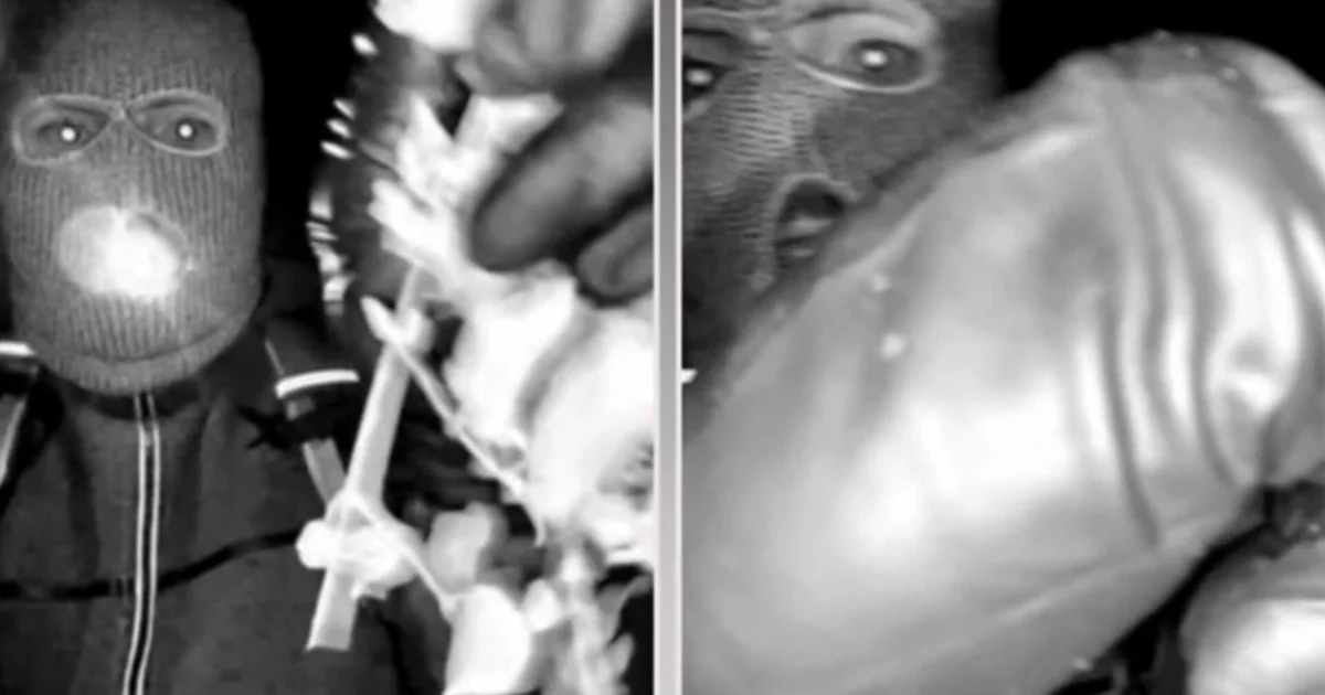 Latest on Nancy Guthrie investigation as search now in third week