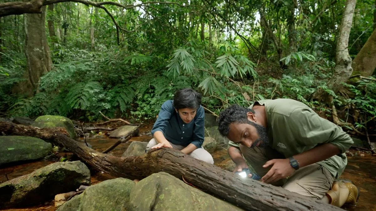 A peek into the secret lives of Coorg&rsquo;s many frogs