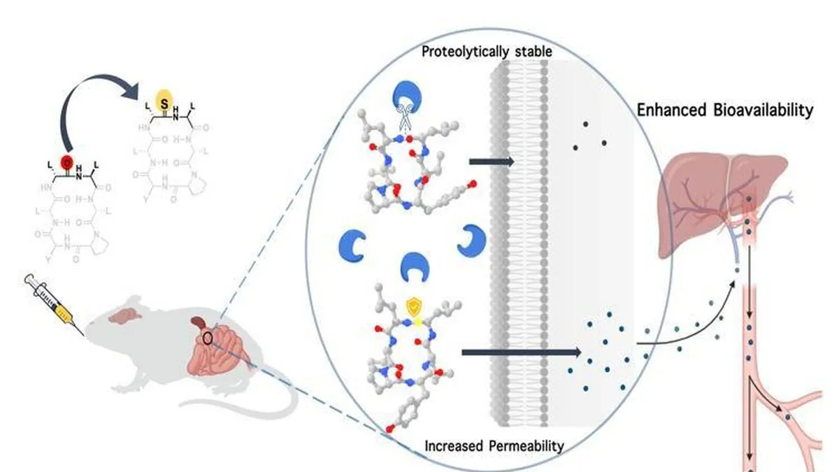 As peptide therapy becomes a popular trend, experts call for caution