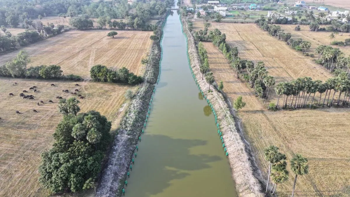 Choked Buckingham in Killai in Cuddalore district restored under Tamil Nadu&rsquo;s Climate Resilient Village initiative 