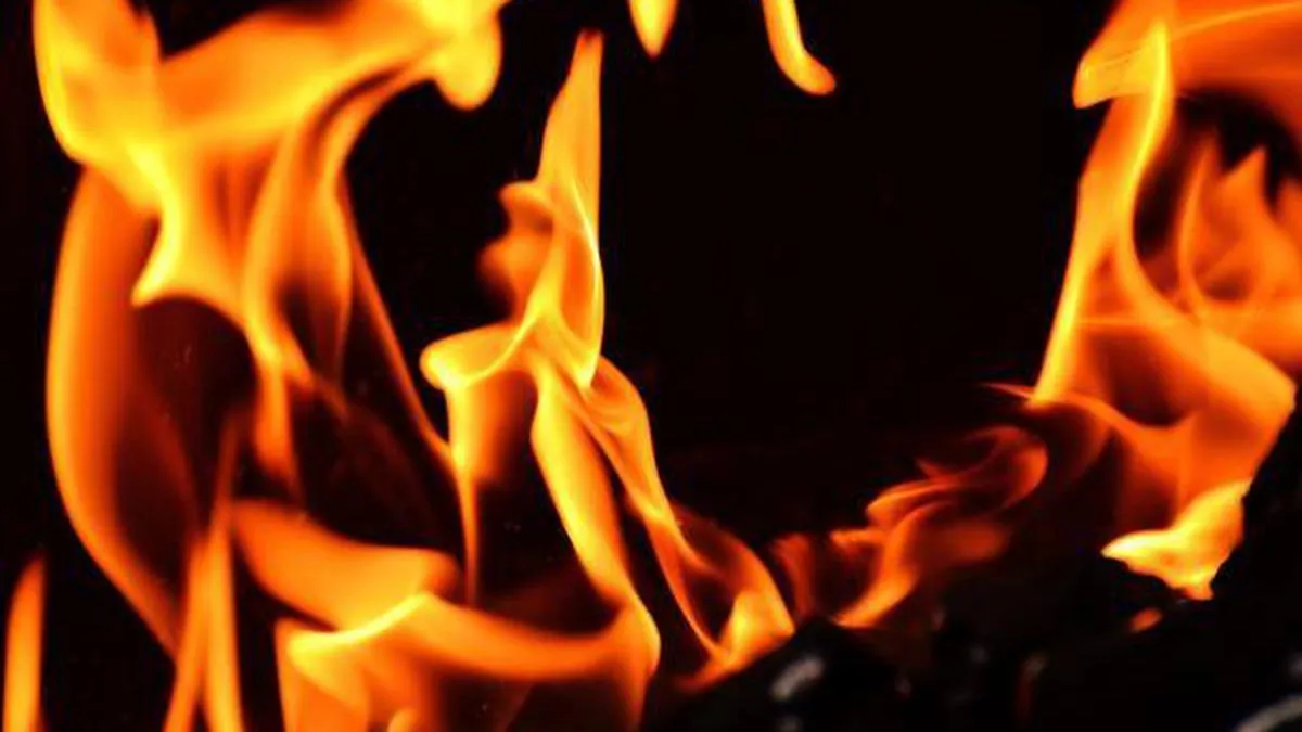 Fire breaks out at Nature Bazaar in south Delhi, around 50 shops gutted