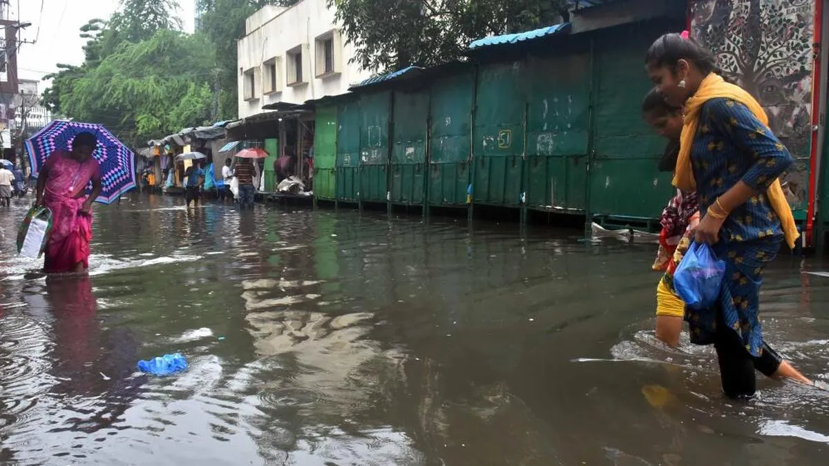 Heavy rain, winds knock out power across Nellore; IMD forecasts more thunderstorms in AP