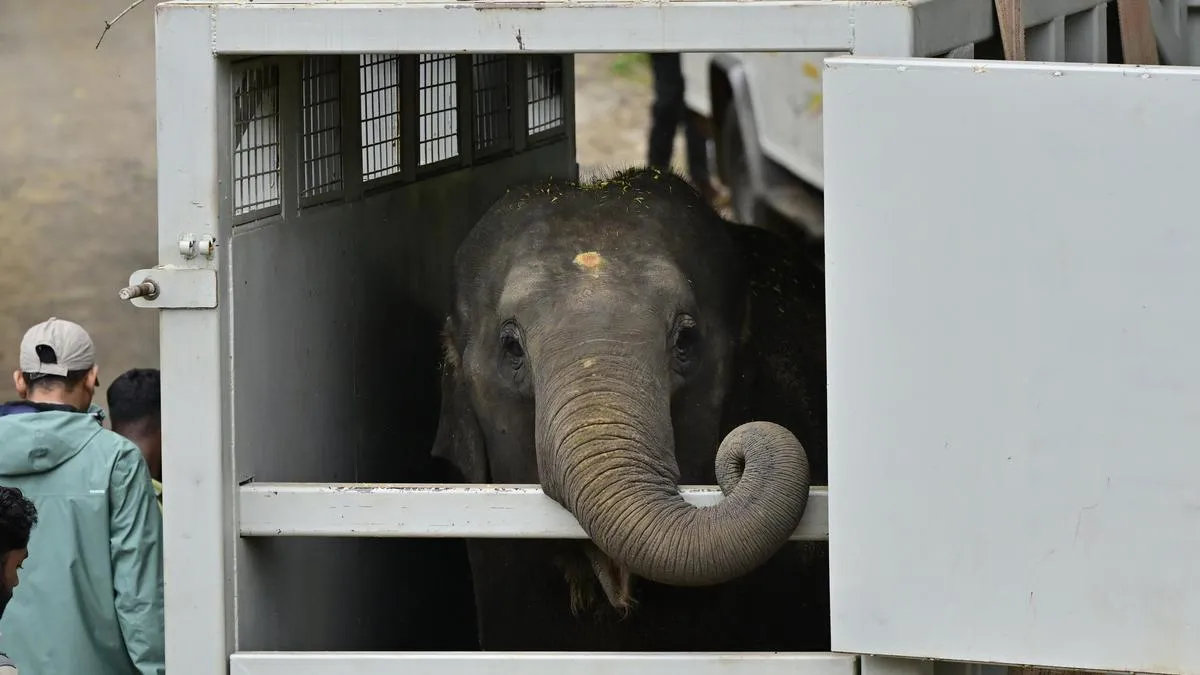 Supreme Court dismisses plea seeking enquiry into CITES violation by Jamnagar-based animal rescue centre and trust